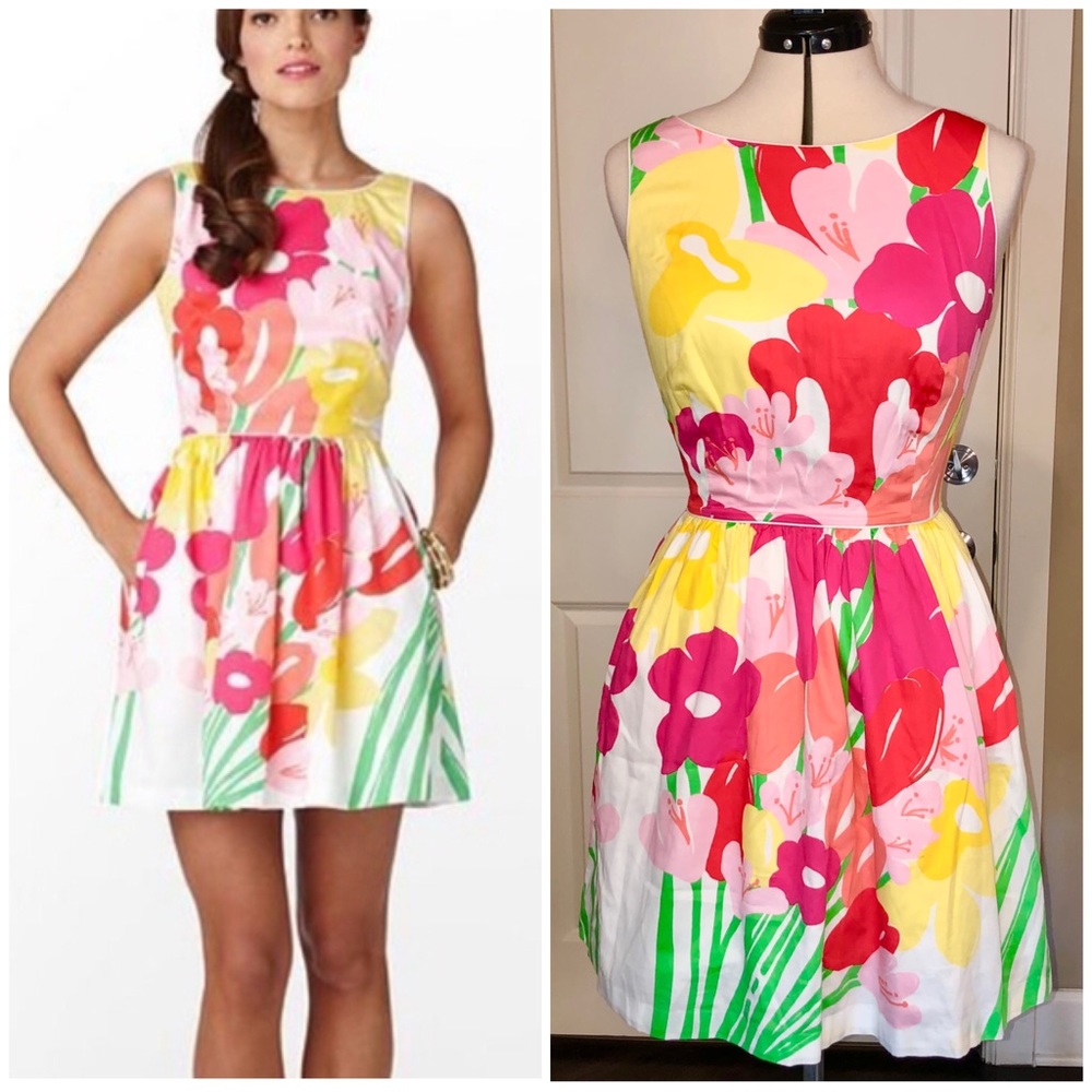 Lilly Pulitzer Aleesa Dress size 8